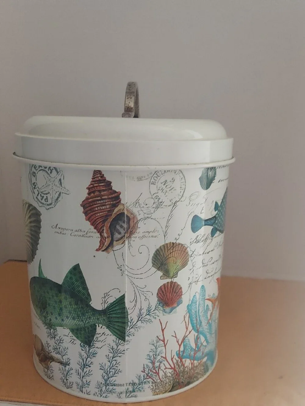 Decorative Fish-Print Tin Storage Box in White and Teal